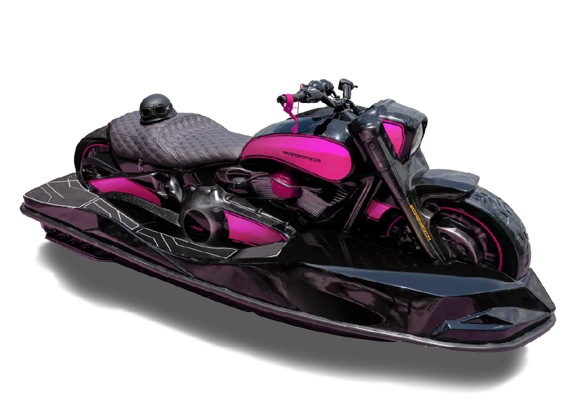 MODEL WSC 01