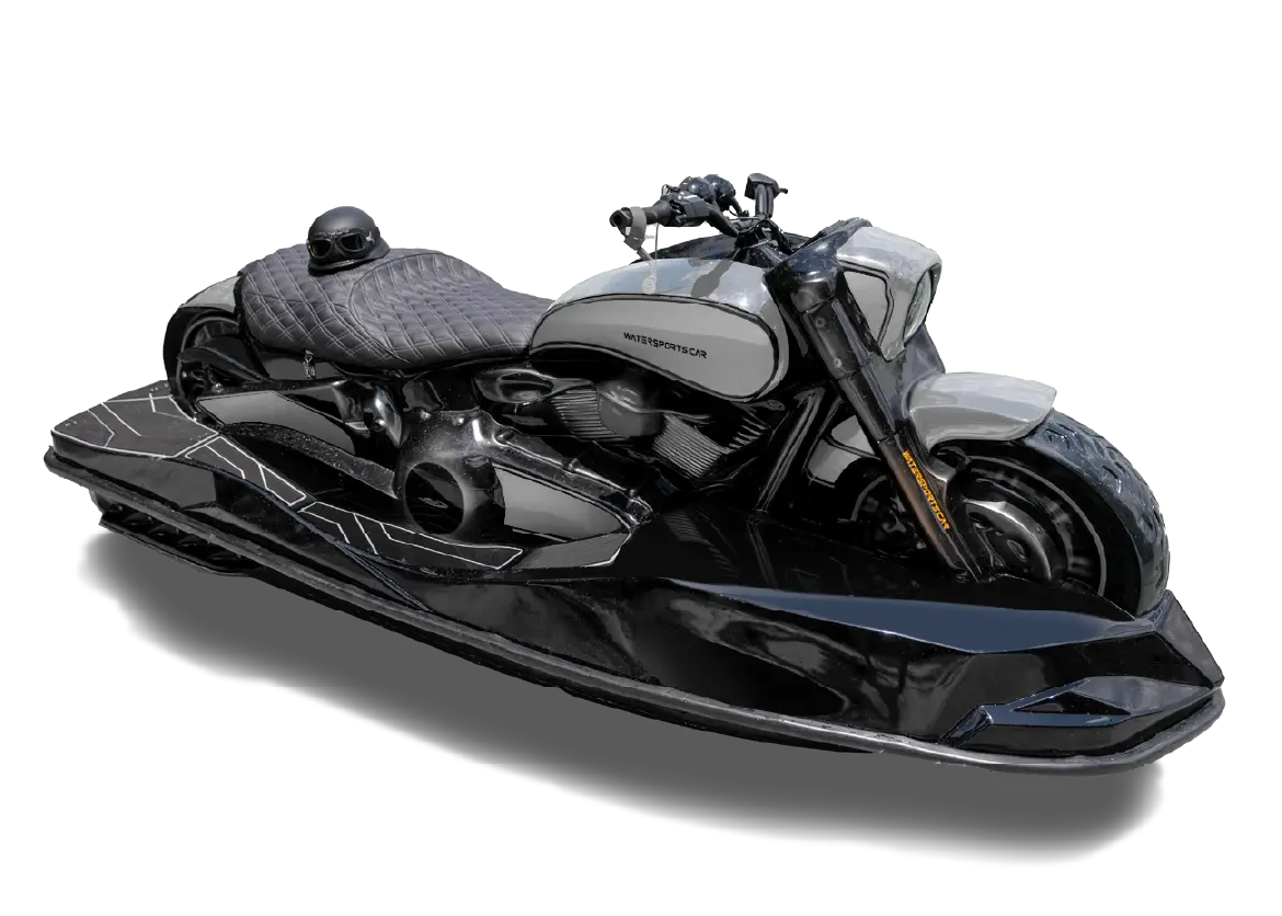 MODEL WSC 01