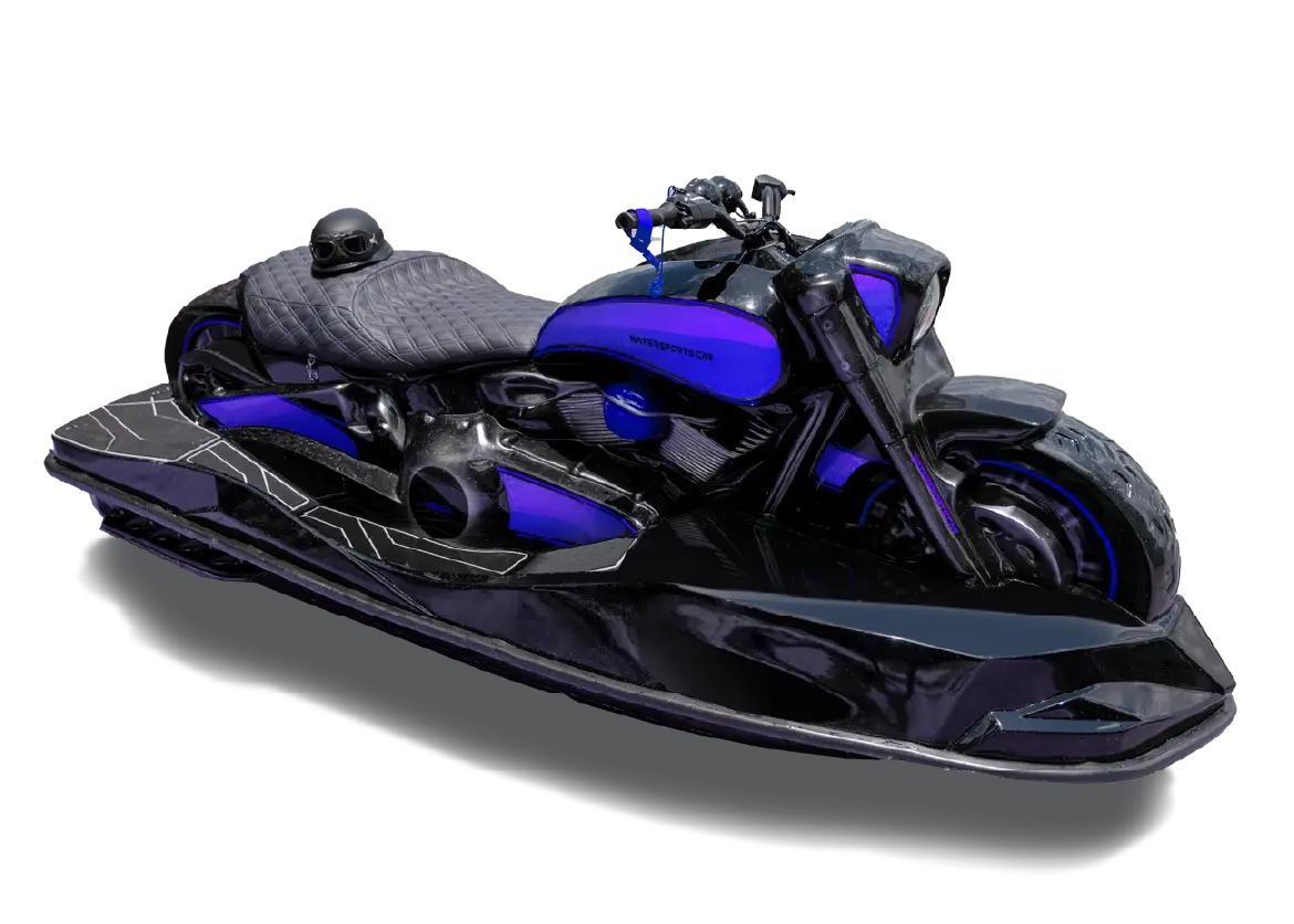 MODEL WSC 01