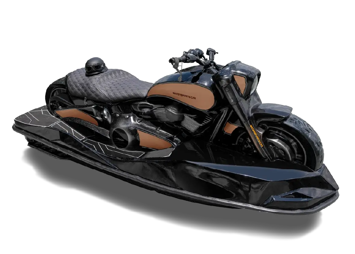 MODEL WSC 01