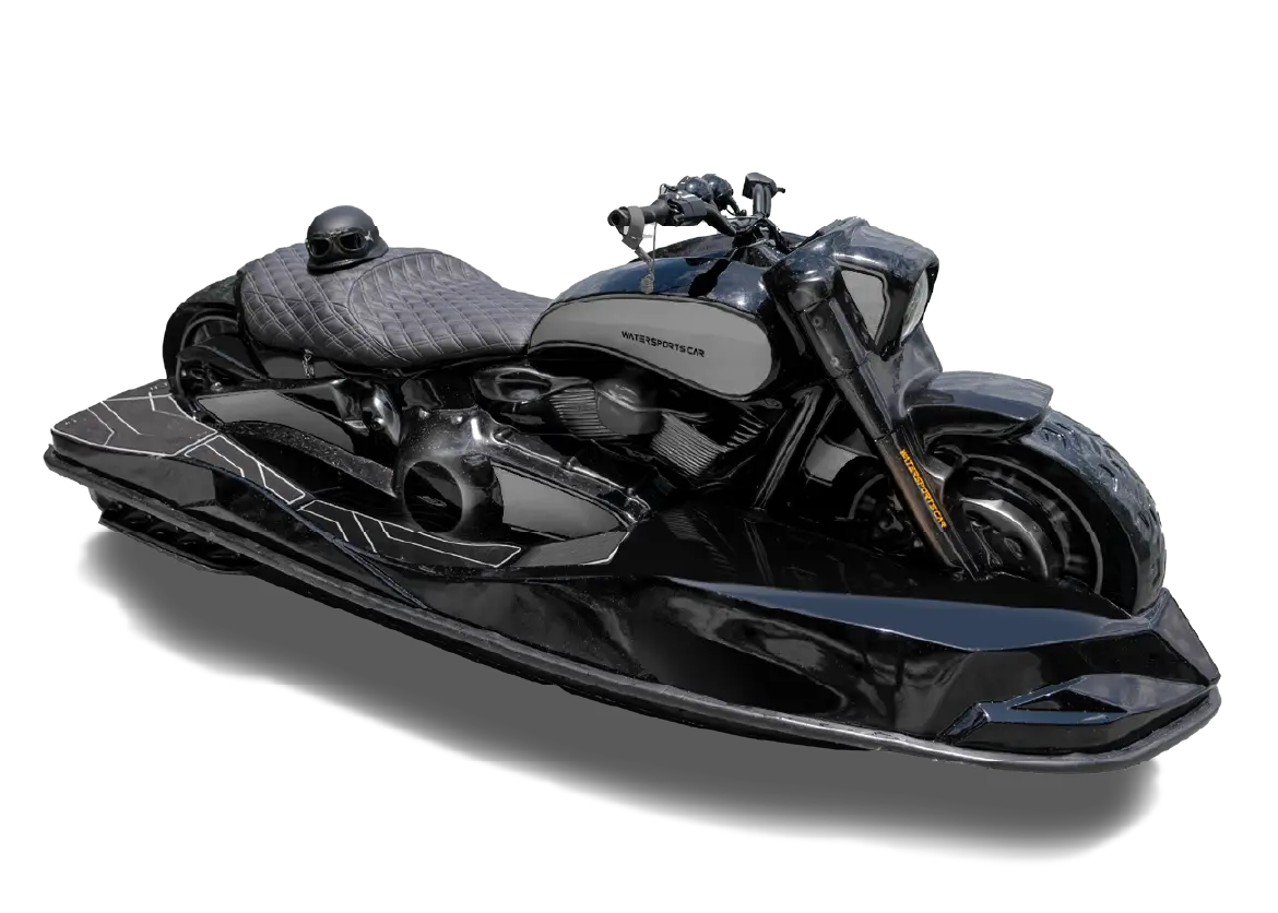 MODEL WSC 01