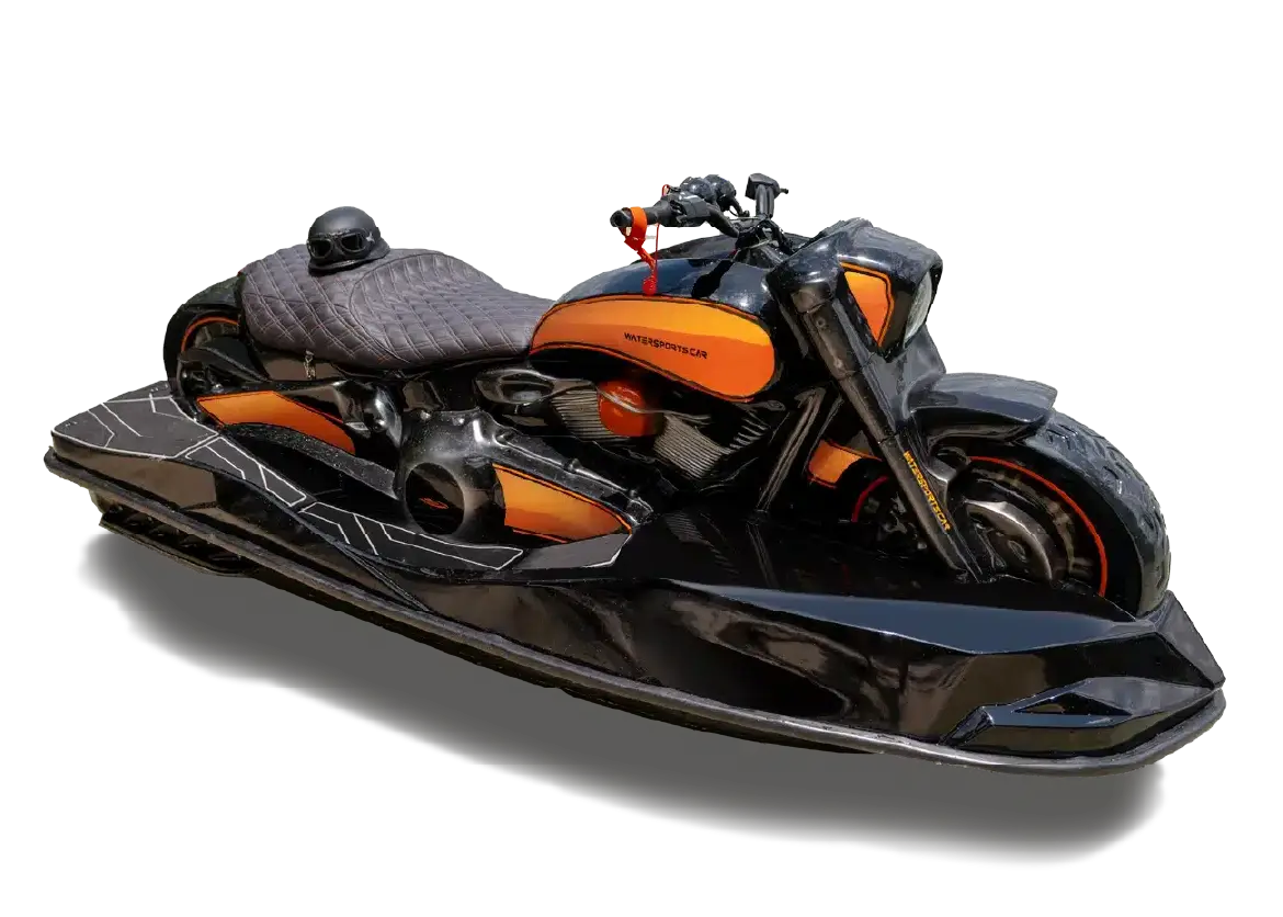 MODEL WSC 01