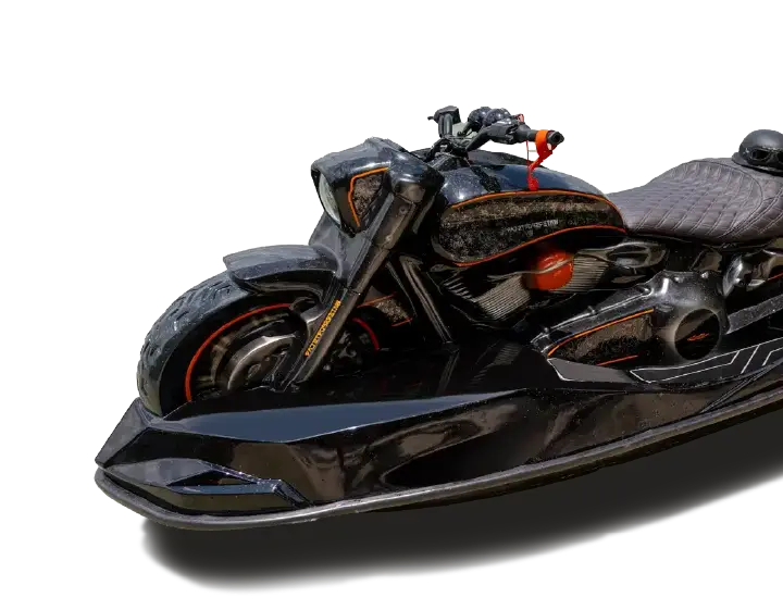 MODEL WSC 01