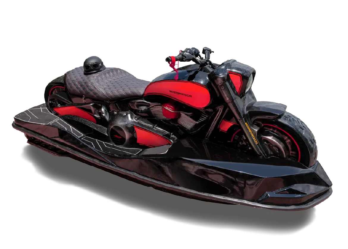 MODEL WSC 01